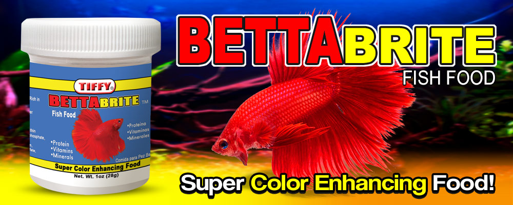 tiffy betta deluxe fish food